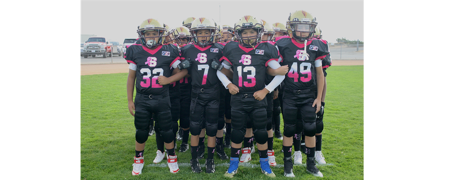 AVSEMINOLES FOR THE CAUSE 
